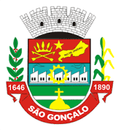 São Gonçalo - logo