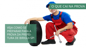 o que cai na prova birigui