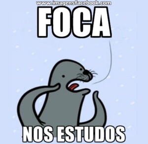 foca nos estudos