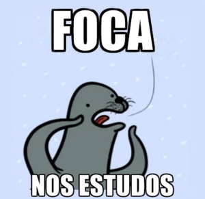 foca nos estudos1