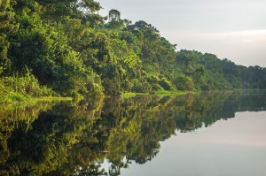 Amazônia