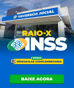 Raio x INSS