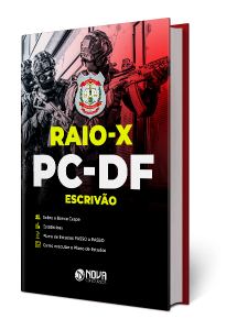 raiox ebook pc df