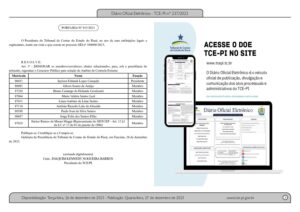 tce pi comissao formada pdf