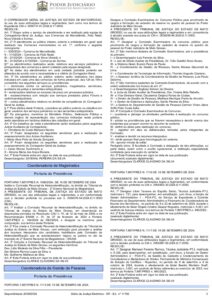 comissao tj mt pdf