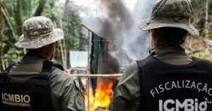 Um grupo de homens vestindo uniforme militar observando o fogo na floresta / Concurso ICMBio