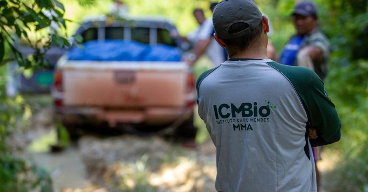 Funcionários do Instituto Chico Mendes de Conservação da Biodiversidade trabalhando no meio a floresta / ICMBio