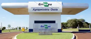 Entrada do Embrapa com um gramado na frente em um dia ensolarado.