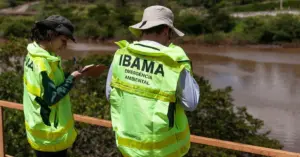 Funcionários do Ibama com uniforme de costas trabalhando em um floresta / Concurso Ibama 2025