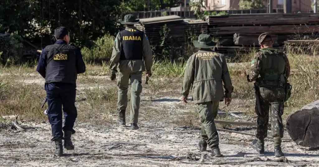 Servidores do Ibama em serviço em área florestal.