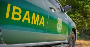 Carro do Ibama estacionado em cores verde e amarelo