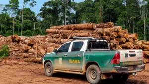 Carros dos aprovados do edital Ibama.